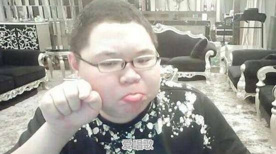 今年谁是最红的网红 今年谁是最红的网红 - 爱唱歌