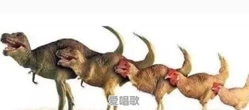 有哪些不为人知的冷知识 有哪些不为人知的冷知识 - 爱唱歌