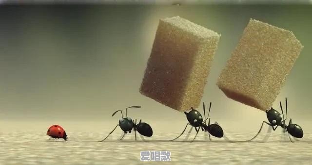 有哪些不为人知的冷知识 有哪些不为人知的冷知识 - 爱唱歌
