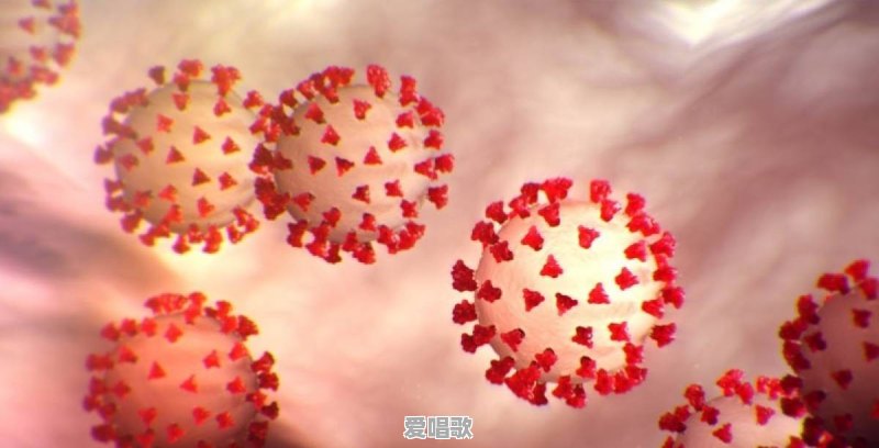什么是市盈率?市盈率能说明什么 什么是市盈率?市盈率能说明什么 - 爱唱歌