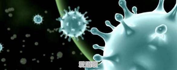 什么是市盈率?市盈率能说明什么 什么是市盈率?市盈率能说明什么 - 爱唱歌