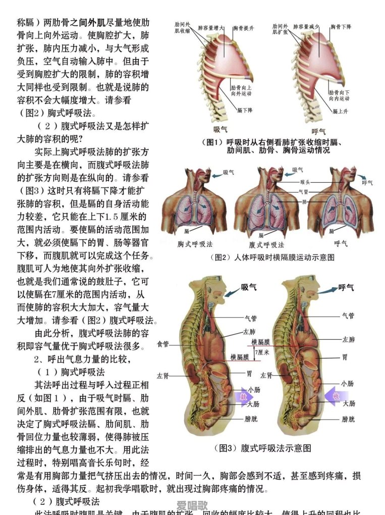 学音乐是学美声,还是流行乐好 学音乐是学美声,还是流行乐好 - 爱唱歌