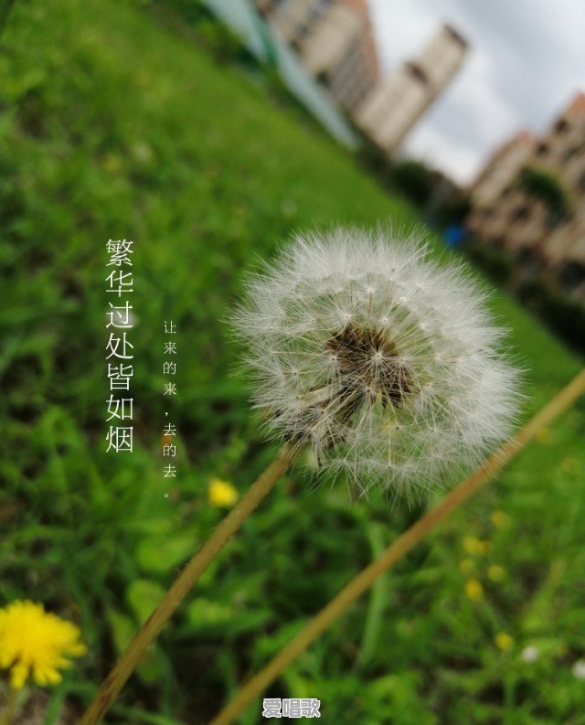 当前最火的10首音乐是什么 - 爱唱歌