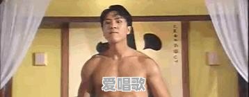有史以来最成功的10首电视剧主题歌,你觉得是哪些 有史以来最成功的10首电视剧主题歌,你觉得是哪些 - 爱唱歌