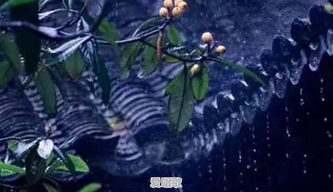 有哪一句歌词或者诗句,可以将你瞬间击倒 有哪一句歌词或者诗句,可以将你瞬间击倒 - 爱唱歌