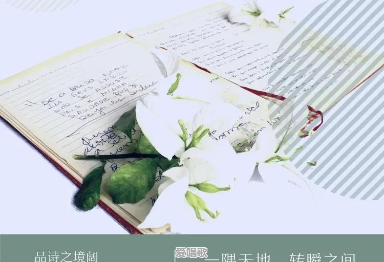 有哪一句歌词或者诗句,可以将你瞬间击倒 有哪一句歌词或者诗句,可以将你瞬间击倒 - 爱唱歌