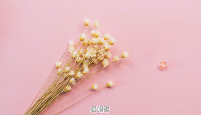香港人如何在听粤语时分辨广东人和本港居民呢 香港人如何在听粤语时分辨广东人和本港居民呢 - 爱唱歌