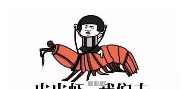 2017最新的网络流行语有哪些 2017最新的网络流行语有哪些 - 爱唱歌