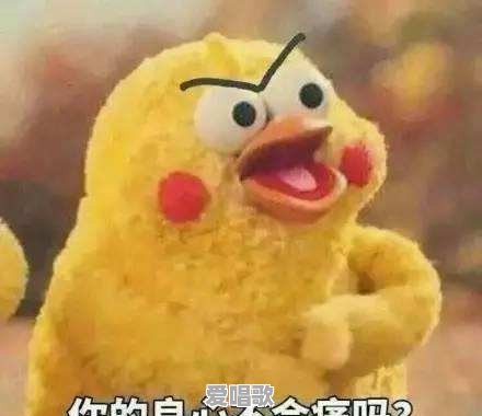 2017最新的网络流行语有哪些 2017最新的网络流行语有哪些 - 爱唱歌