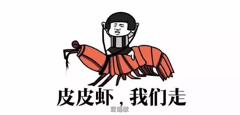 2017最新的网络流行语有哪些 2017最新的网络流行语有哪些 - 爱唱歌