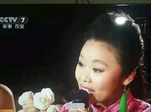 吃大蒜网红歌手 吃大蒜网红歌手 - 爱唱歌
