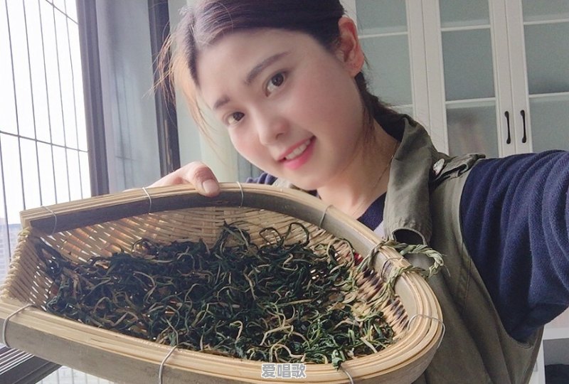 打算回农村拍三农视频有前途吗 - 爱唱歌