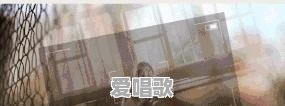 想把图片制成音乐相册，大家觉得哪一款软件好用 - 爱唱歌