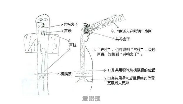 唱歌如何融合支点的力量 唱歌如何融合支点的力量 - 爱唱歌