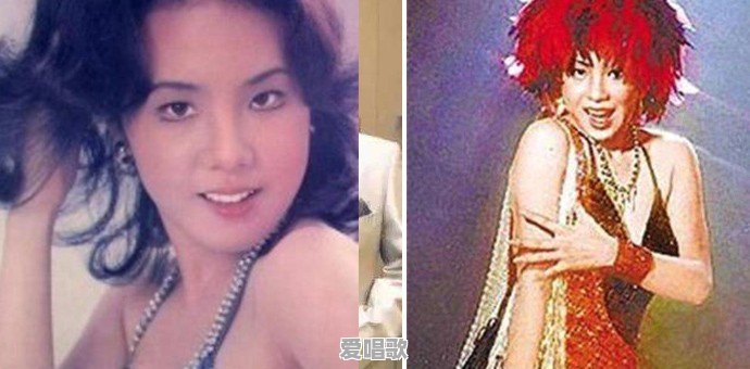 费玉清与哥哥张菲为何不同姓 费玉清与哥哥张菲为何不同姓 - 爱唱歌