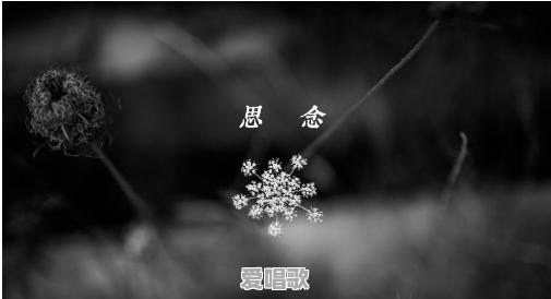 跑步最有节奏感的音乐有哪些值得推荐 跑步最有节奏感的音乐有哪些值得推荐 - 爱唱歌