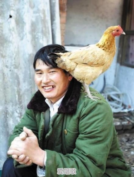 从专业歌评角度分析朱之文,他唱的到底好不好 从专业歌评角度分析朱之文,他唱的到底好不好 - 爱唱歌