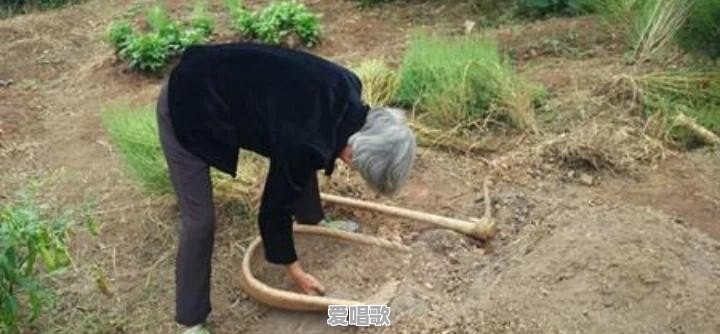 哪些农村方言很难听懂?你还会说农村老家的方言吗 哪些农村方言很难听懂?你还会说农村老家的方言吗 - 爱唱歌
