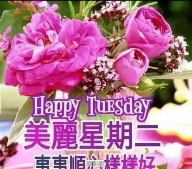 冯提莫再次被喷上热搜,“因点评周传雄被称小白,事实却并非如此”,原因是什么呢 冯提莫再次被喷上热搜,“因点评周传雄被称小白,事实却并非如此”,原因是什么呢 - 爱唱歌