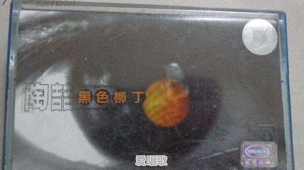 周杰伦《范特西》、陶喆《黑色柳丁》和王力宏《不可思议》,哪一张才是你心中的最强神专 周杰伦《范特西》、陶喆《黑色柳丁》和王力宏《不可思议》,哪一张才是你心中的最强神专 - 爱唱歌
