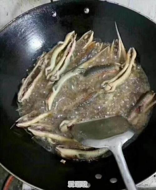 农村有种叫“狗婆蛇”的小动物,它生有四肢脚,是蛇吗?好不好吃 农村有种叫“狗婆蛇”的小动物,它生有四肢脚,是蛇吗?好不好吃 - 爱唱歌