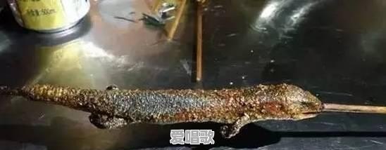 农村有种叫“狗婆蛇”的小动物,它生有四肢脚,是蛇吗?好不好吃 农村有种叫“狗婆蛇”的小动物,它生有四肢脚,是蛇吗?好不好吃 - 爱唱歌