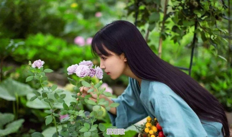 很喜欢李子柒作品的背景音乐,可以推荐歌名吗 很喜欢李子柒作品的背景音乐,可以推荐歌名吗 - 爱唱歌
