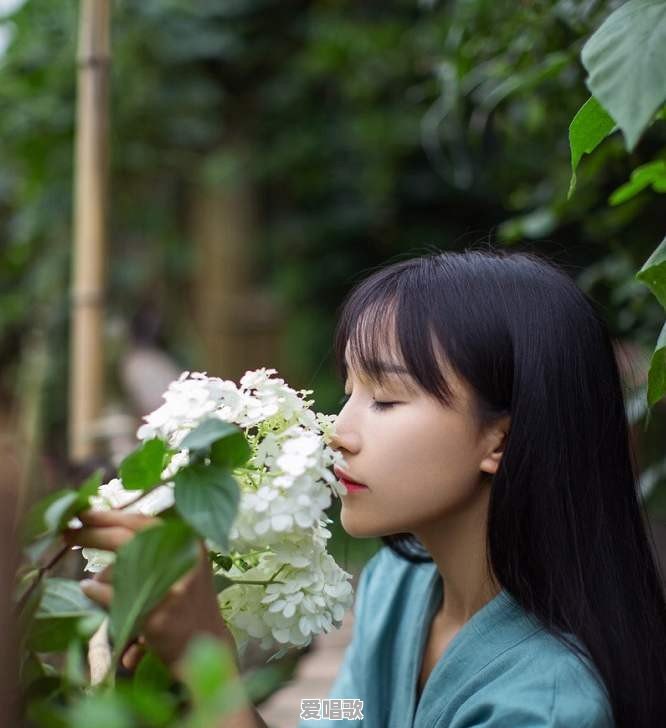 很喜欢李子柒作品的背景音乐,可以推荐歌名吗 很喜欢李子柒作品的背景音乐,可以推荐歌名吗 - 爱唱歌
