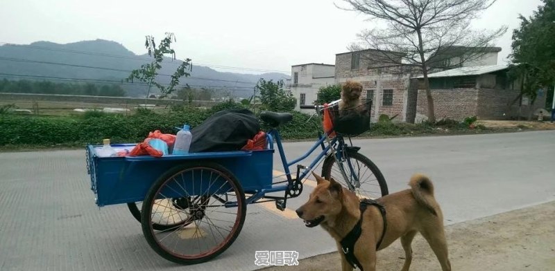 你们认为最漂亮的街拍照片有哪些?可以分享吗 你们认为最漂亮的街拍照片有哪些?可以分享吗 - 爱唱歌