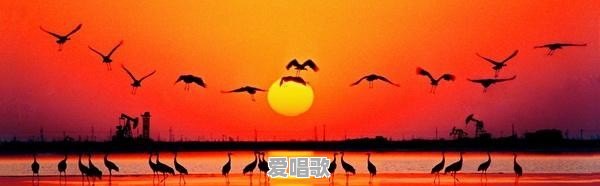 学习古代诗词的目地和意义何在 学习古代诗词的目地和意义何在 - 爱唱歌