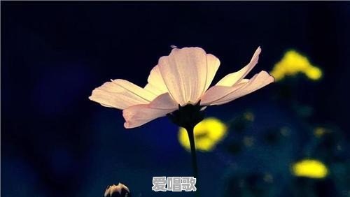 学习古代诗词的目地和意义何在 学习古代诗词的目地和意义何在 - 爱唱歌