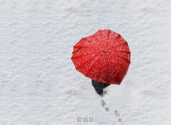 为什么有那么多人想当网红?你怎么看这种现象 为什么有那么多人想当网红?你怎么看这种现象 - 爱唱歌