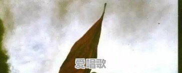 军号版流行音乐 军号版流行音乐 - 爱唱歌