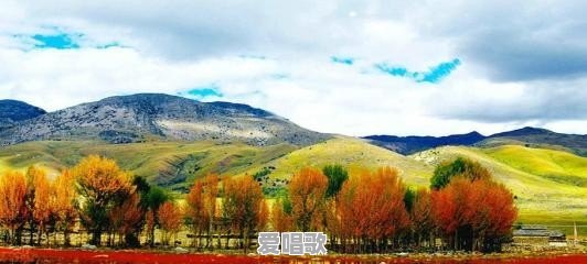 散打哥为什么哭 散打哥为什么哭 - 爱唱歌