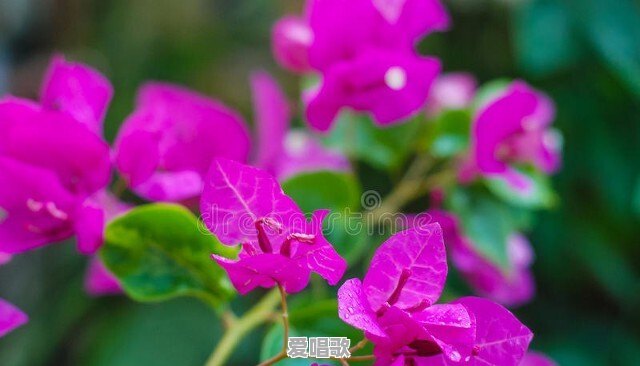 有哪些很美的句子,让你忍不住细细品味,去感受 有哪些很美的句子,让你忍不住细细品味,去感受 - 爱唱歌