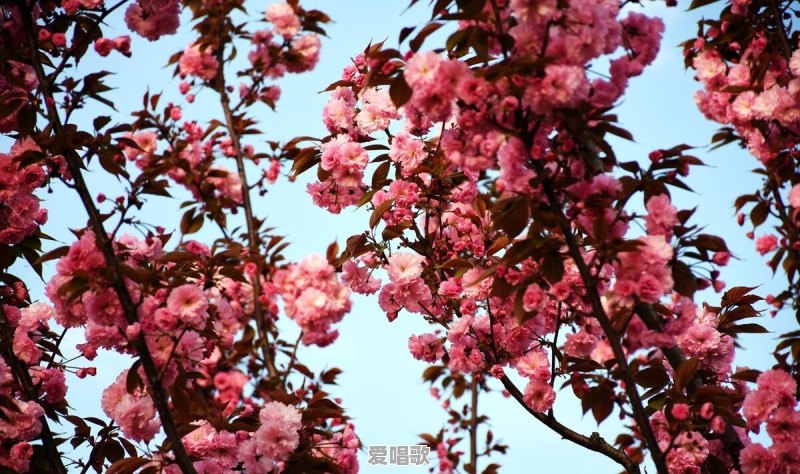 有哪些很美的句子,让你忍不住细细品味,去感受 有哪些很美的句子,让你忍不住细细品味,去感受 - 爱唱歌