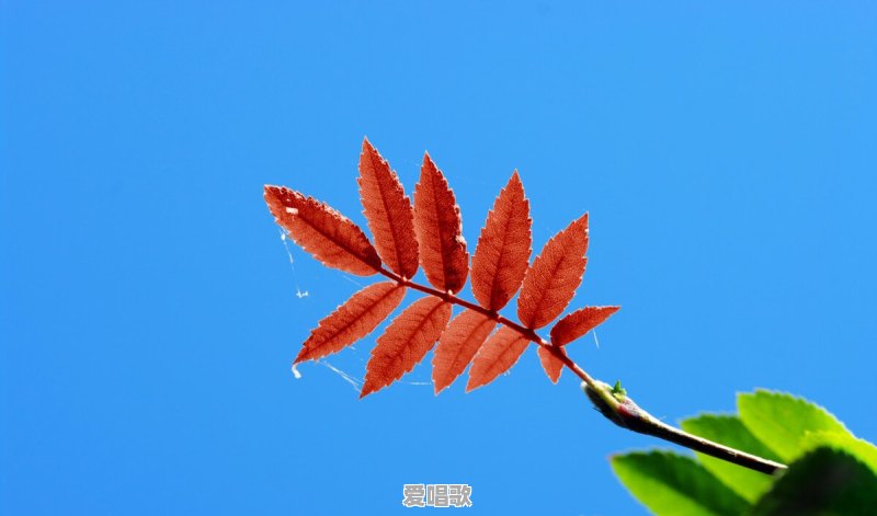 有哪些很美的句子,让你忍不住细细品味,去感受 有哪些很美的句子,让你忍不住细细品味,去感受 - 爱唱歌