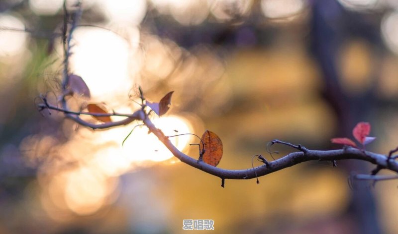 有哪些很美的句子,让你忍不住细细品味,去感受 有哪些很美的句子,让你忍不住细细品味,去感受 - 爱唱歌