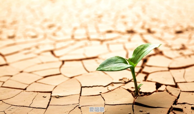 有哪些很美的句子,让你忍不住细细品味,去感受 有哪些很美的句子,让你忍不住细细品味,去感受 - 爱唱歌