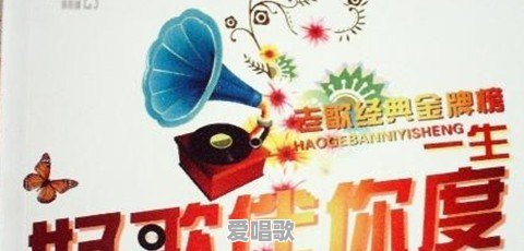 你收藏了哪些好听的音乐 - 爱唱歌