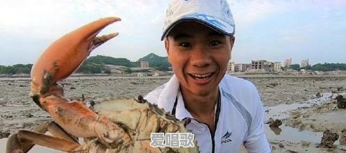 赶海视频是真的吗 赶海视频是真的吗 - 爱唱歌