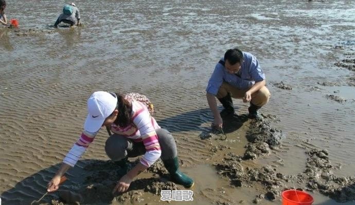赶海视频是真的吗 赶海视频是真的吗 - 爱唱歌
