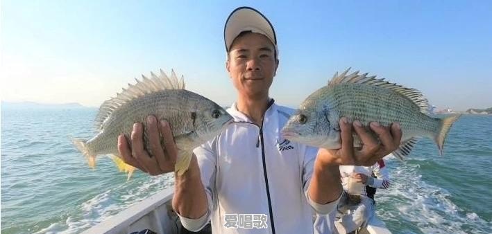 赶海视频是真的吗 赶海视频是真的吗 - 爱唱歌