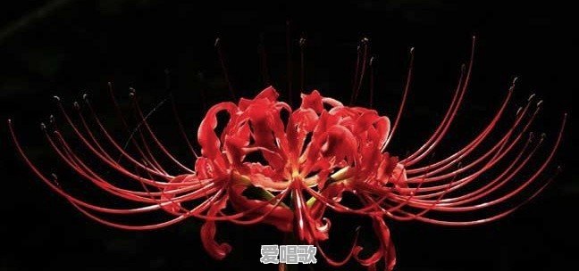 农村老家最让你难以忘记的是哪个地方 农村老家最让你难以忘记的是哪个地方 - 爱唱歌
