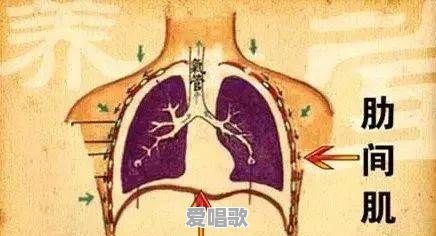 睡觉练唱歌发声技巧 睡觉练唱歌发声技巧 - 爱唱歌