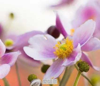 经历大风大浪后，你突然看透了生活中哪些事情呢 - 爱唱歌