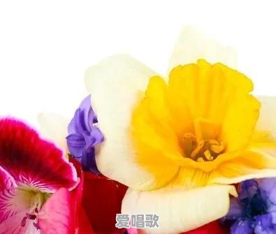 经历大风大浪后，你突然看透了生活中哪些事情呢 - 爱唱歌