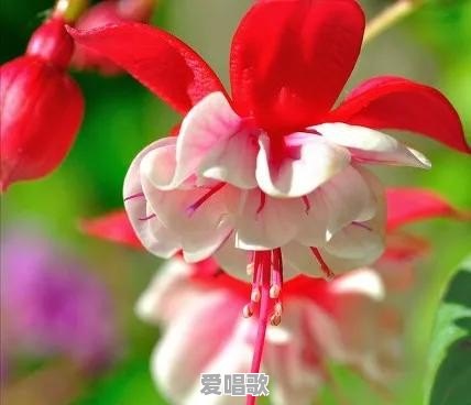 经历大风大浪后，你突然看透了生活中哪些事情呢 - 爱唱歌