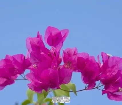 经历大风大浪后，你突然看透了生活中哪些事情呢 - 爱唱歌