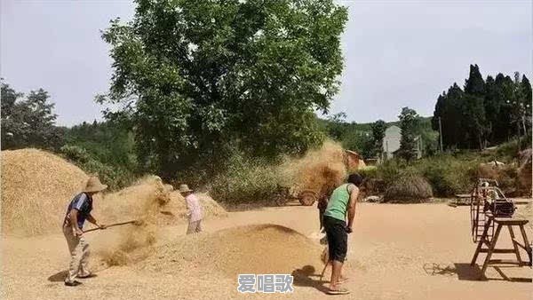 有哪些网红参加过《快乐大本营》 有哪些网红参加过《快乐大本营》 - 爱唱歌